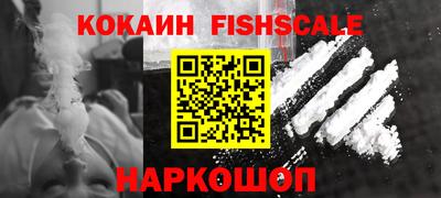 индика Кингисепп