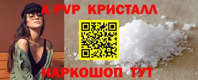 индика Кингисепп