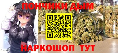 индика Кингисепп