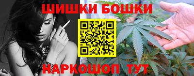 индика Кингисепп