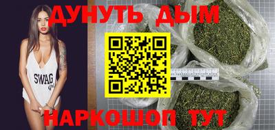 индика Кингисепп