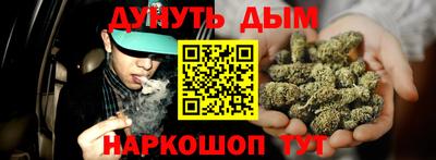 индика Кингисепп