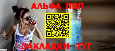 индика Кингисепп