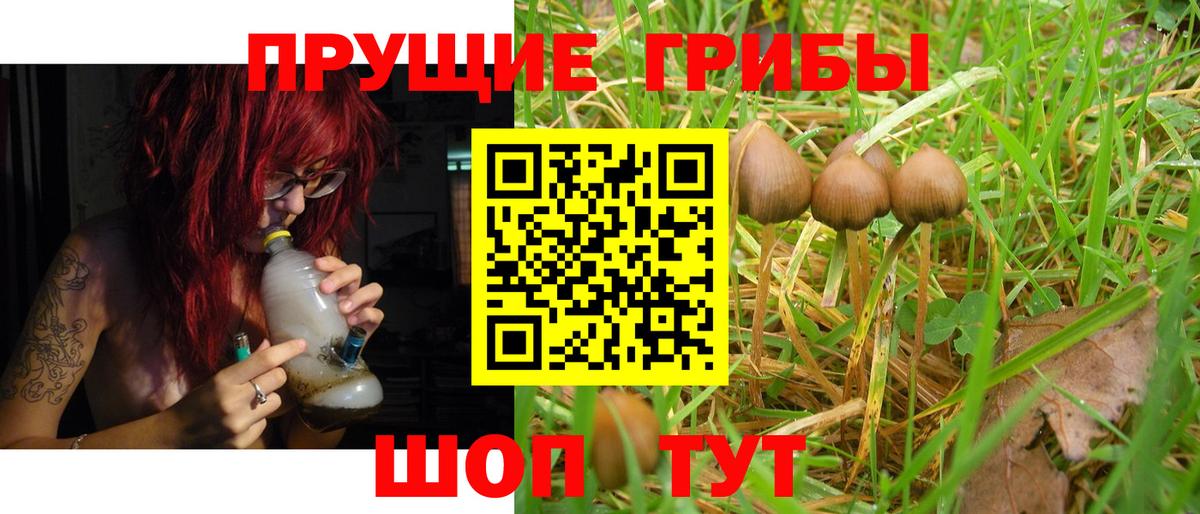 Галлюциногенные грибы Cubensis  Галлюциногенные грибы прущие грибы  Вход с VPN  купить наркотики цена  Кропоткин 